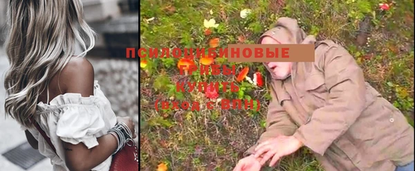 MESCALINE Абаза
